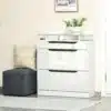 Jalatsikapp klappustega ja sahtliga 89 x 23 x 96 cm | E-pood Tootemaailm Valge läikiva viimistlusega kolme sahtliga kummut klaasplaadi ja taimega valgusküllases interjööris