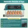 Automaatne munainkubaator 24/36 munale munade automaatse pööramisega | E-pood Tootemaailm Automaatne munainkubaator 24/36 munale munade automaatse pööramisega