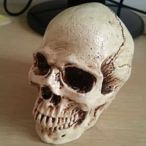 väike hele pealuu ornament, millel on realistlikud detailid ja tumedad varjundid
