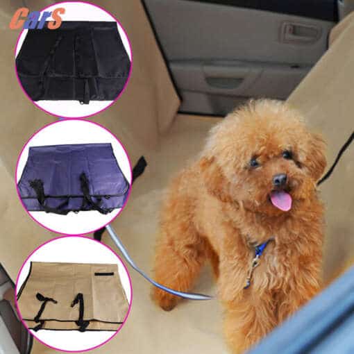 Tagaistme kate koera transportimiseks