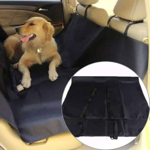Tagaistme kate koera transportimiseks
