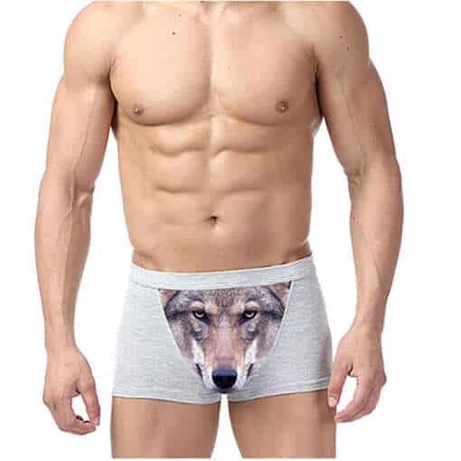 hallid meeste bokserid hundi pildiga esiküljel