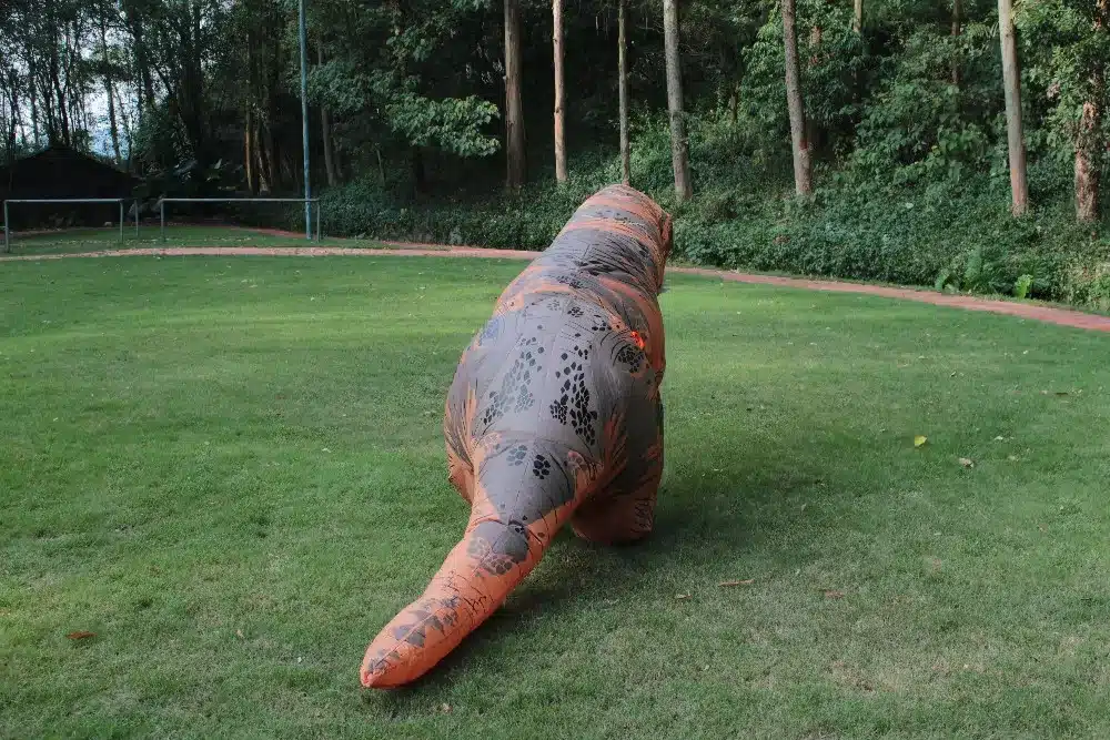 Dinosaurus T REX maskott täiskasvanutele | kujundav pilt e-kaubamaja pildikogust