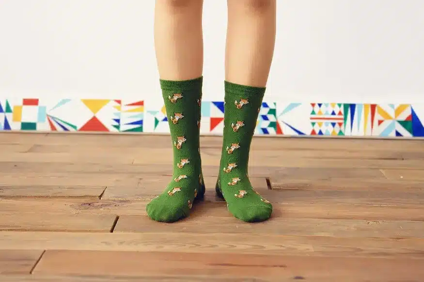 Foot 22-27cm Lovely Daily Animal Weel Socks Watermelon Dachshund Beagle Lion Farm Bull Terrier Elephant Fox Pill Fruit Dog Combo 6