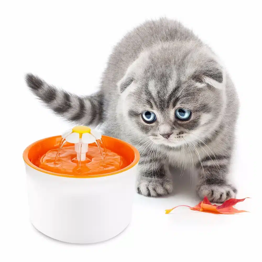 Fashion Automatic 1.6L Flower Style Dog Cat Kitten Water Drinking Pet Fountain Pet Bowl Drink Dish Filter Orange/Blue/Green 9