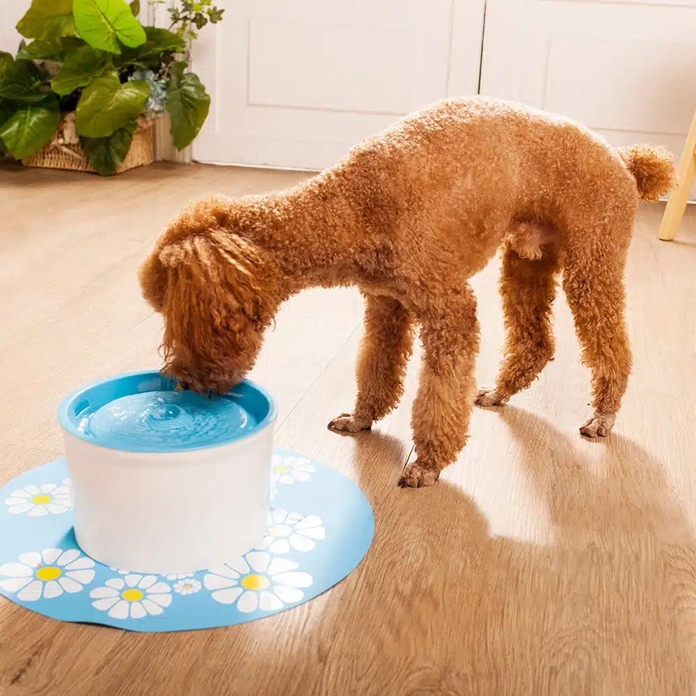 Fashion Automatic 1.6L Flower Style Dog Cat Kitten Water Drinking Pet Fountain Pet Bowl Drink Dish Filter Orange/Blue/Green 12