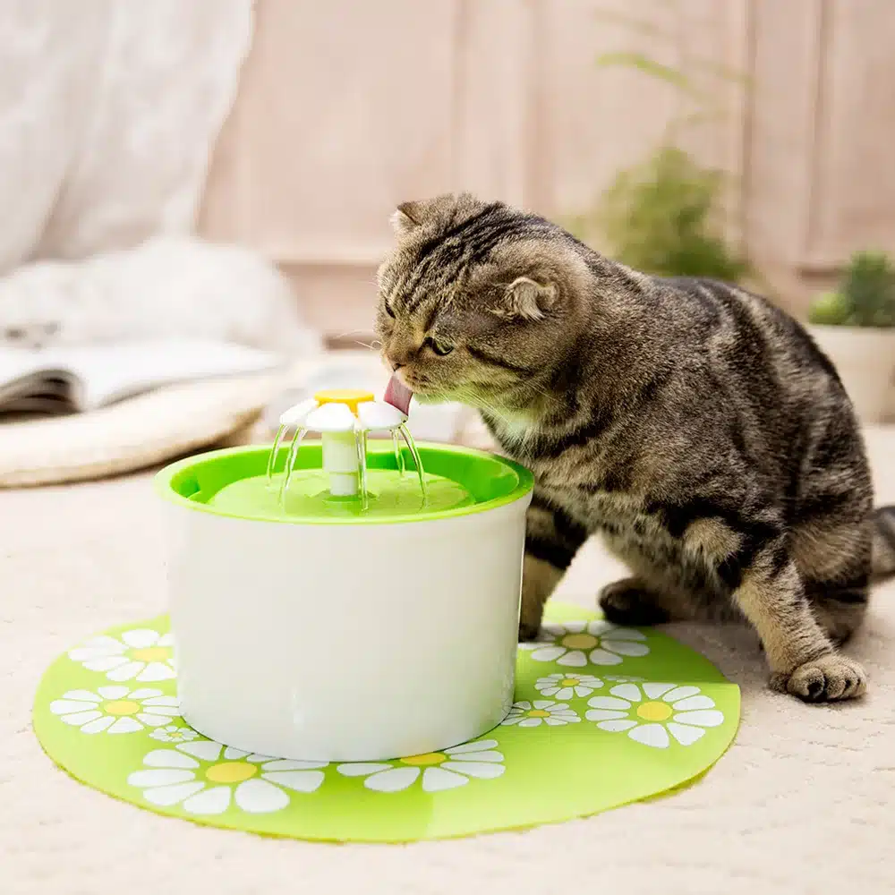 Fashion Automatic 1.6L Flower Style Dog Cat Kitten Water Drinking Pet Fountain Pet Bowl Drink Dish Filter Orange/Blue/Green 13