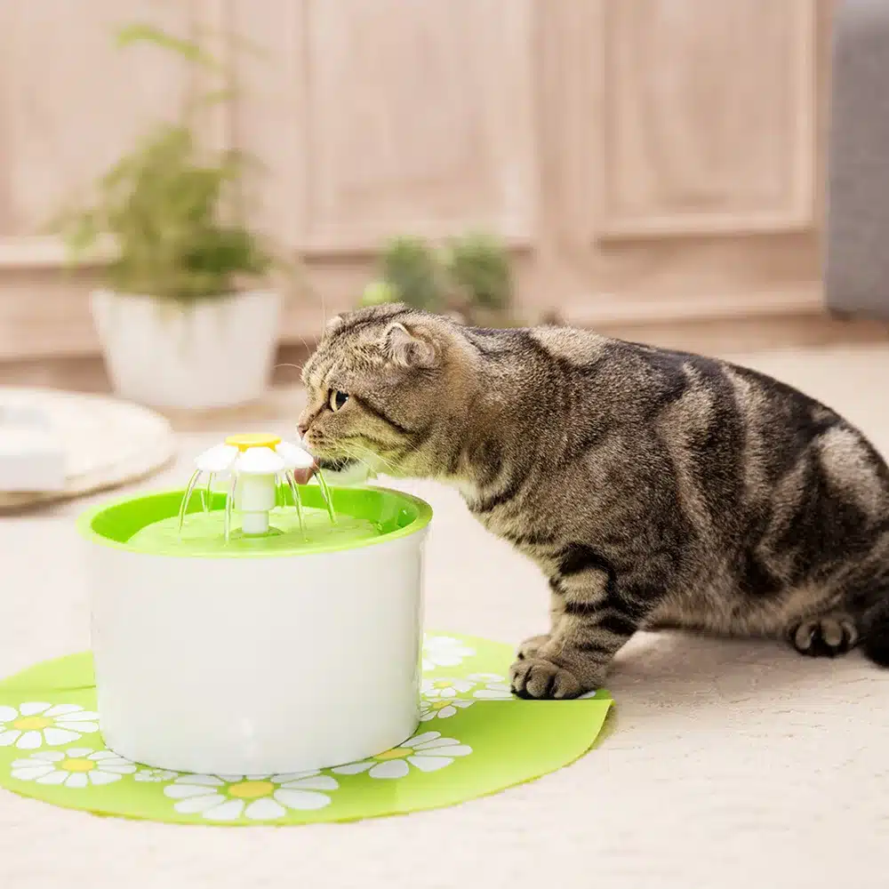Fashion Automatic 1.6L Flower Style Dog Cat Kitten Water Drinking Pet Fountain Pet Bowl Drink Dish Filter Orange/Blue/Green 14