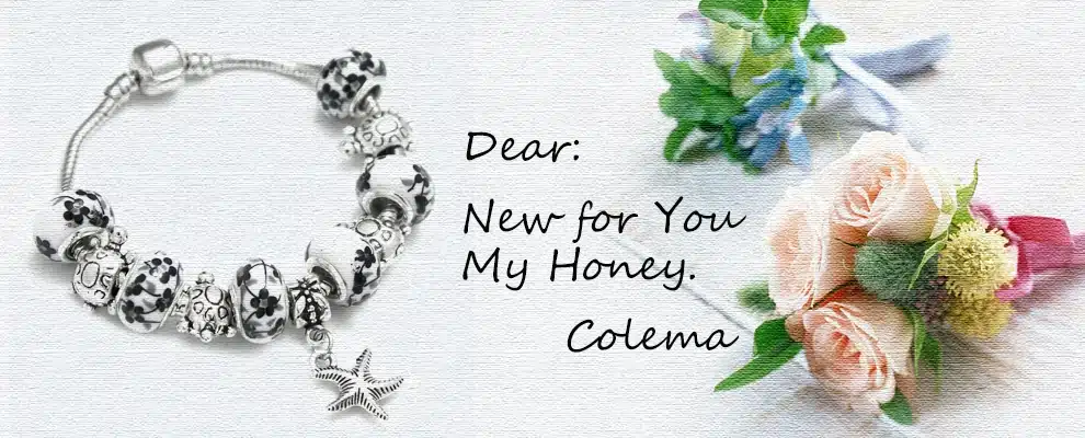 KEORMA Rhinestone European Beads Charm Women Bracelets Fashion Charm Bracelets Bangles For Women Jewelry With Beautiful Gift Bag 39