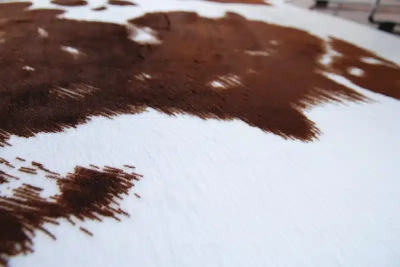 Imitation Cowhide Carpet Animal Floor Mat Living Room Bedroom Coffe Brown Black And White Fashion Originality Rug 8