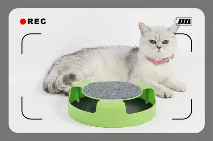 Free Shipping Pet Cat Toy Crazy Training Funny Toy For Cat Cat Toy Cat Mouse Toy Catch the Motion Mouse 1