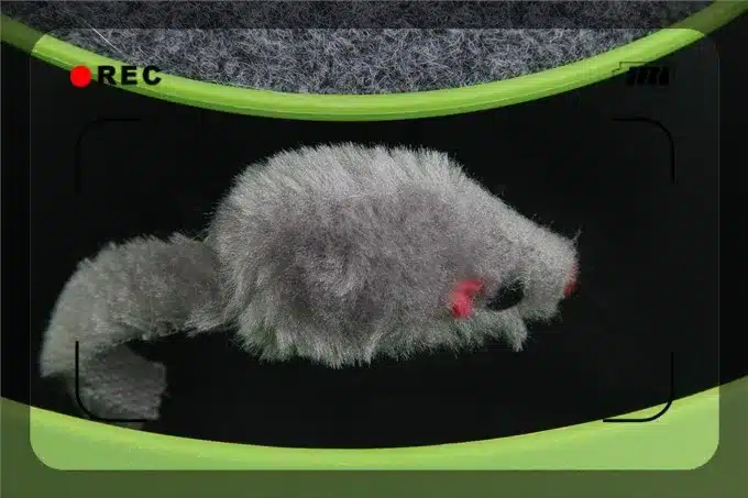 Free Shipping Pet Cat Toy Crazy Training Funny Toy For Cat Cat Toy Cat Mouse Toy Catch the Motion Mouse 5