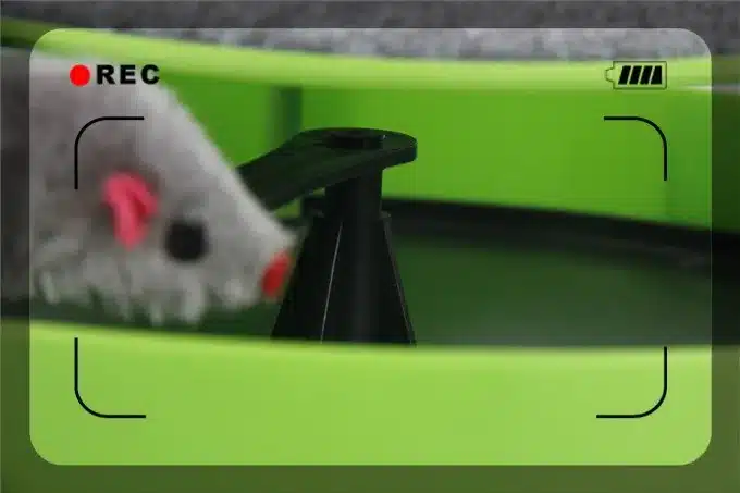 Free Shipping Pet Cat Toy Crazy Training Funny Toy For Cat Cat Toy Cat Mouse Toy Catch the Motion Mouse 7