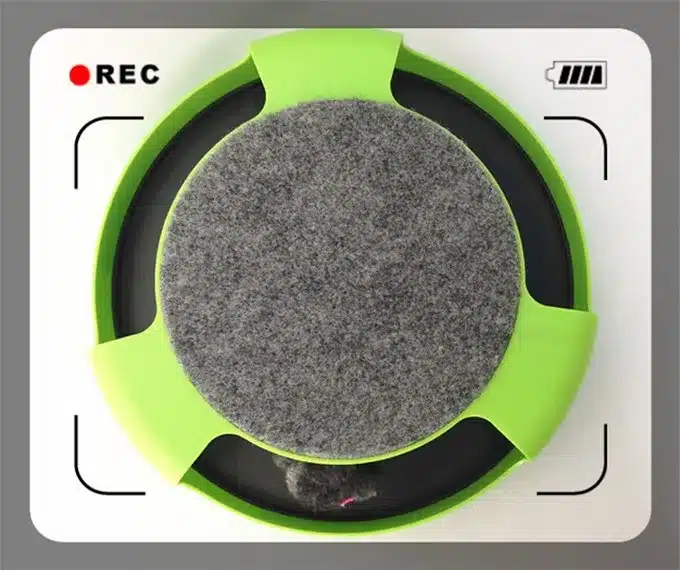 Free Shipping Pet Cat Toy Crazy Training Funny Toy For Cat Cat Toy Cat Mouse Toy Catch the Motion Mouse 8