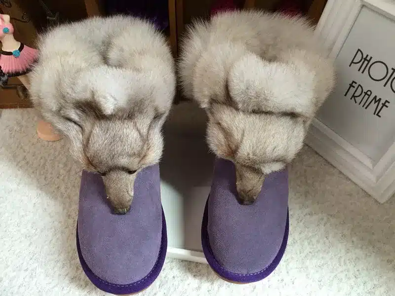 2017 New Fashion Fox Fur Womens Flats Boots Snow Boots Thick Bottom Big Size 35-44 Genuine Leather Female Winter Boot Shoes XP15 21