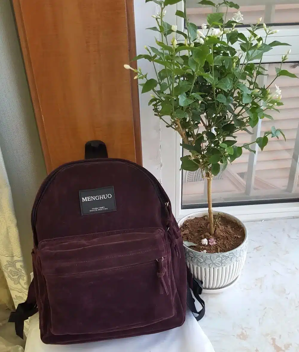 Women Backpack Preppy Suede Backpacks Girls School Bags Vintage Backpack Travel Bag Female Backpack Burgundy Gray Black Mochila 47