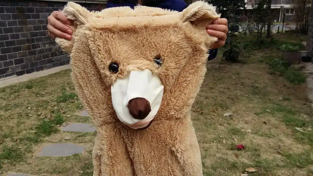 Selling Toy Big Size 200cm American Giant Bear Skin ,Teddy Bear Coat ,Good Quality Factary Price Soft Toys For Girls 1
