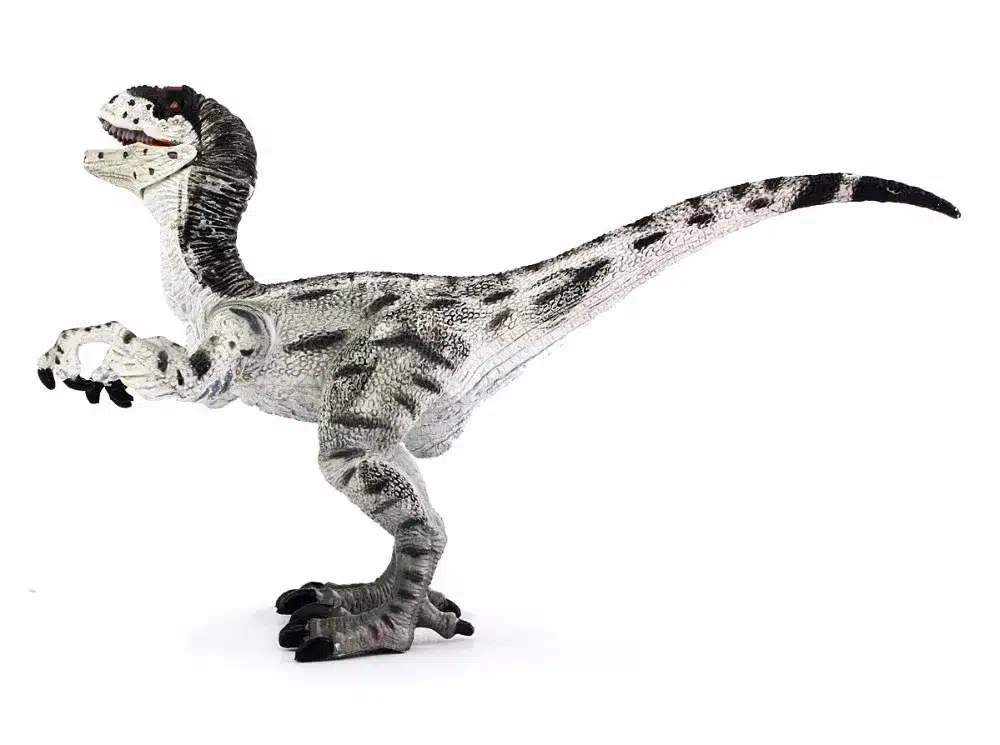Wiben Jurassic Velociraptor Dinosaur Action & Toy Figures Animal Model Collection Learning & Educational Kids Birthday Boy Gift 6
