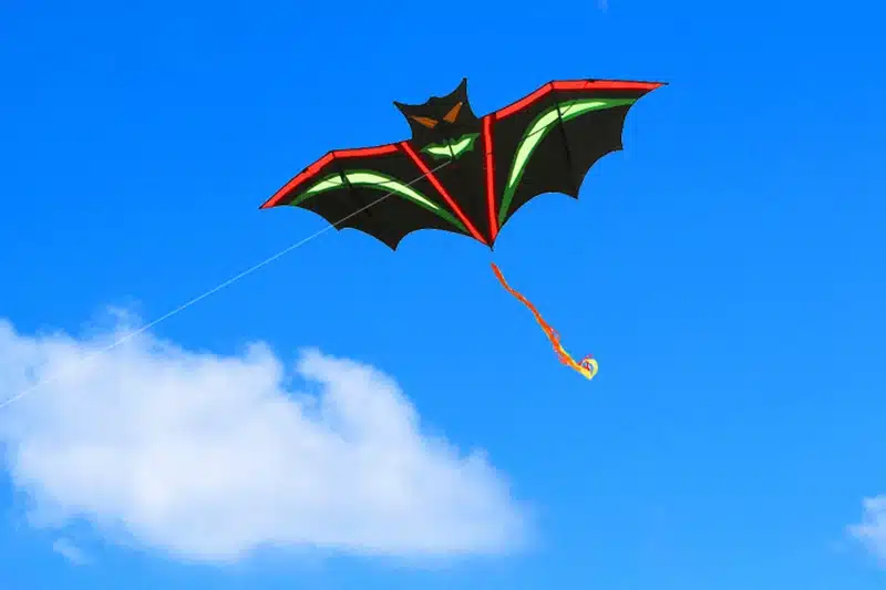 free shipping high quality bat kite with handle line outdoor flying toy nylon ripstops kids kite surf octopus kite factory new 2