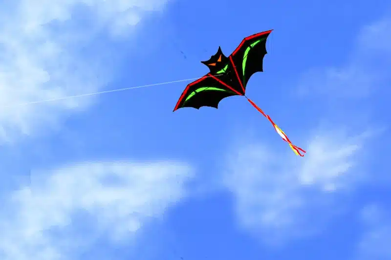 free shipping high quality bat kite with handle line outdoor flying toy nylon ripstops kids kite surf octopus kite factory new 3