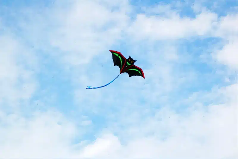 free shipping high quality bat kite with handle line outdoor flying toy nylon ripstops kids kite surf octopus kite factory new 4