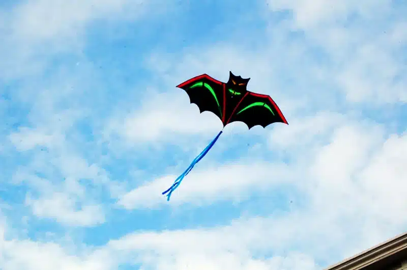 free shipping high quality bat kite with handle line outdoor flying toy nylon ripstops kids kite surf octopus kite factory new 5