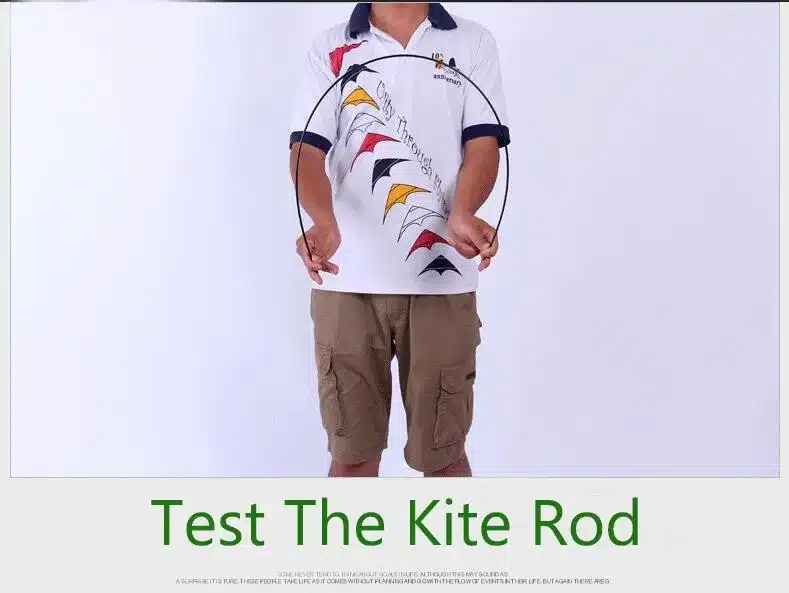 free shipping high quality bat kite with handle line outdoor flying toy nylon ripstops kids kite surf octopus kite factory new 10