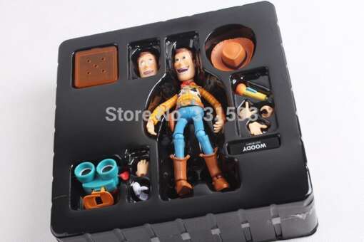 multifilmi tegelaskuju Woody erinevate lisadega karbis