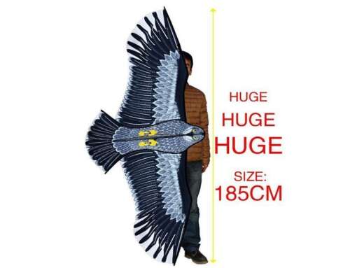 suur kotka kujuline tuulelohe, mille tiibade siruulatus on 185 cm