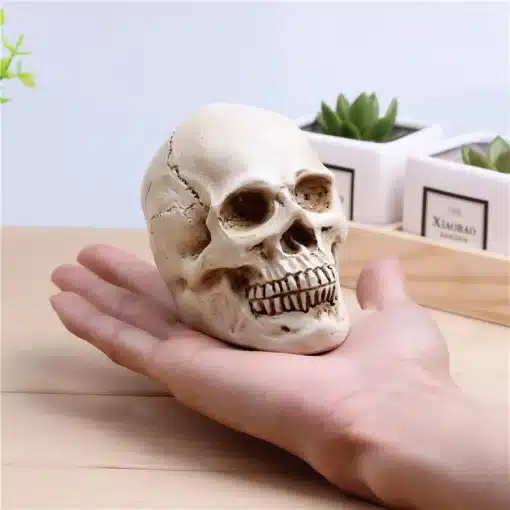 väike pealuu ornament peopesas, taustal sukulendid