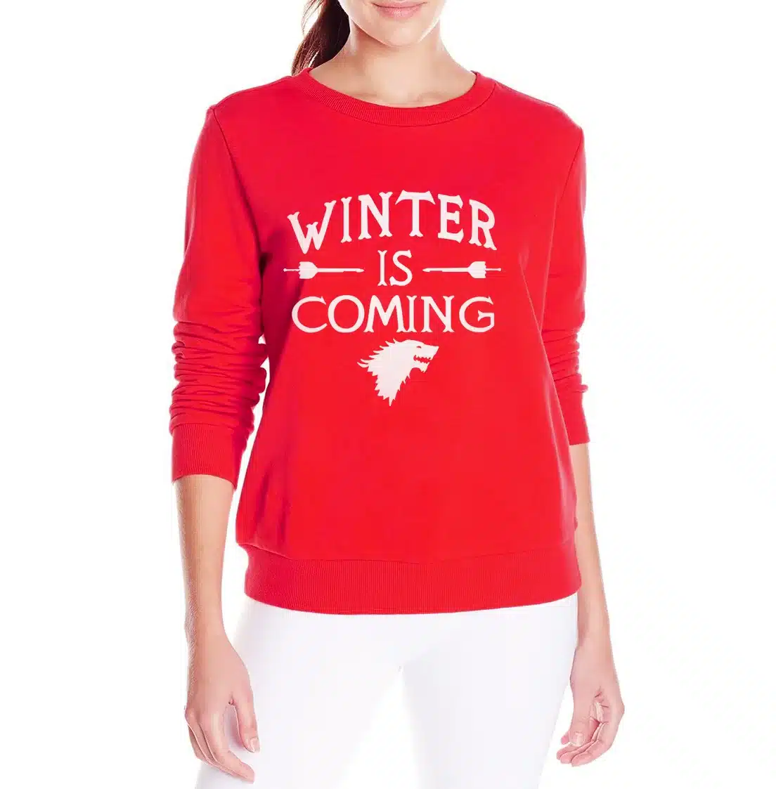 Funny newest top winter will coming Women harajuku sweatshirt 2017 female Casual hip-hop hoodies kpop tracksuit mma pullover 13