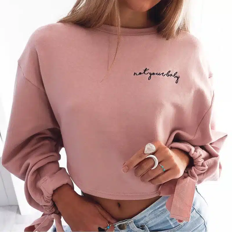 High Quality Women Jumper Hoodies Female Pink Oversize Cropped Sweatshirt 2017 Winter Kawaii Harajuku Embroidery Letter Pullover 7