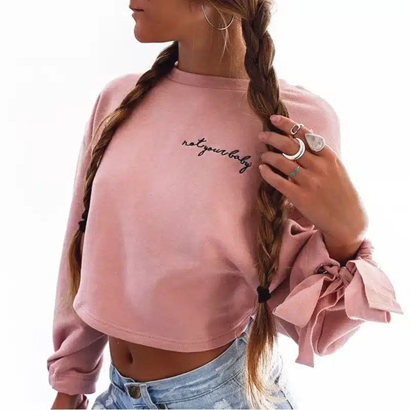 High Quality Women Jumper Hoodies Female Pink Oversize Cropped Sweatshirt 2017 Winter Kawaii Harajuku Embroidery Letter Pullover 8