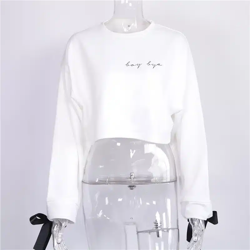 High Quality Women Jumper Hoodies Female Pink Oversize Cropped Sweatshirt 2017 Winter Kawaii Harajuku Embroidery Letter Pullover 12