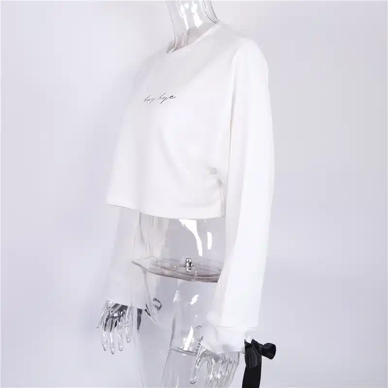 High Quality Women Jumper Hoodies Female Pink Oversize Cropped Sweatshirt 2017 Winter Kawaii Harajuku Embroidery Letter Pullover 13