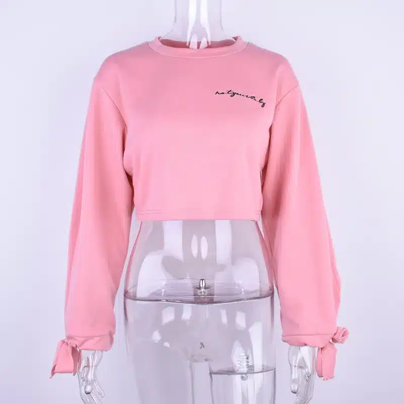 High Quality Women Jumper Hoodies Female Pink Oversize Cropped Sweatshirt 2017 Winter Kawaii Harajuku Embroidery Letter Pullover 16