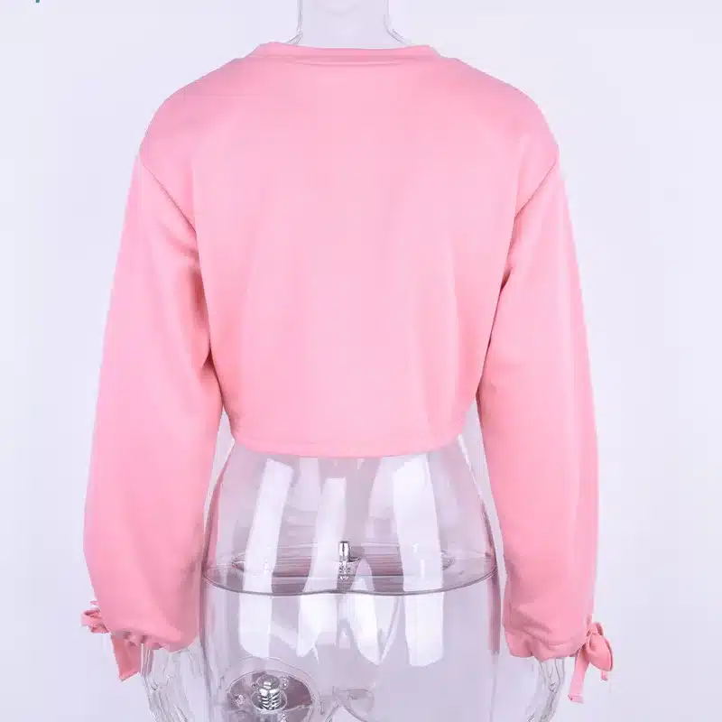 High Quality Women Jumper Hoodies Female Pink Oversize Cropped Sweatshirt 2017 Winter Kawaii Harajuku Embroidery Letter Pullover 17