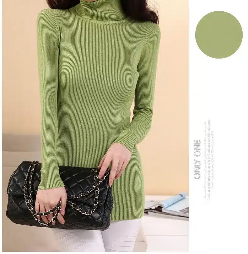 DisappeaRanceLove Brand autumn medium-long elastic sweater long-sleeve sweater female pullover turtleneck sweater 26