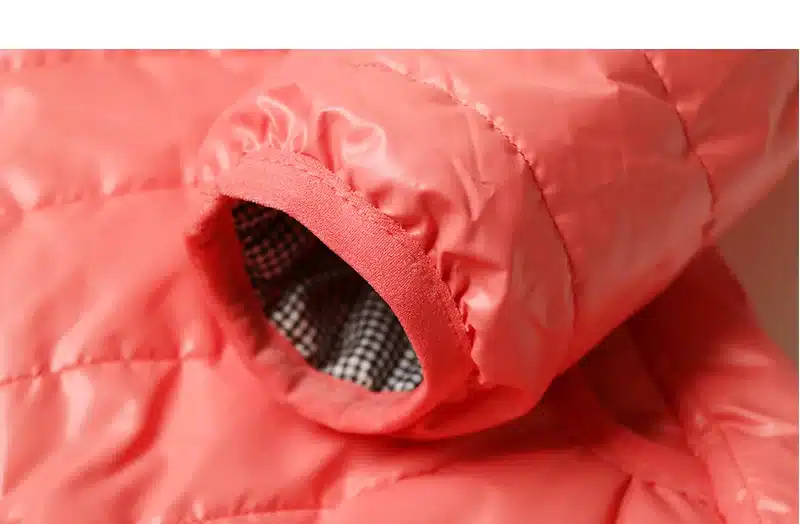 Zipper Hooded Women Winter Jacket 2017 New Brand Spring Autumn Slim Warm Coat Solid Color Short Ladies Padded Fashion Jacket 16