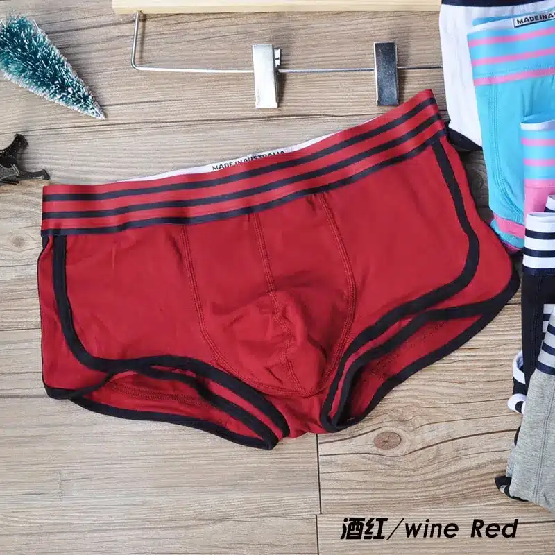 High quality cotton man brand fashion underwear boxer short trunk sexy low waist 3D Ucrotch panties underpants Free shipping 15