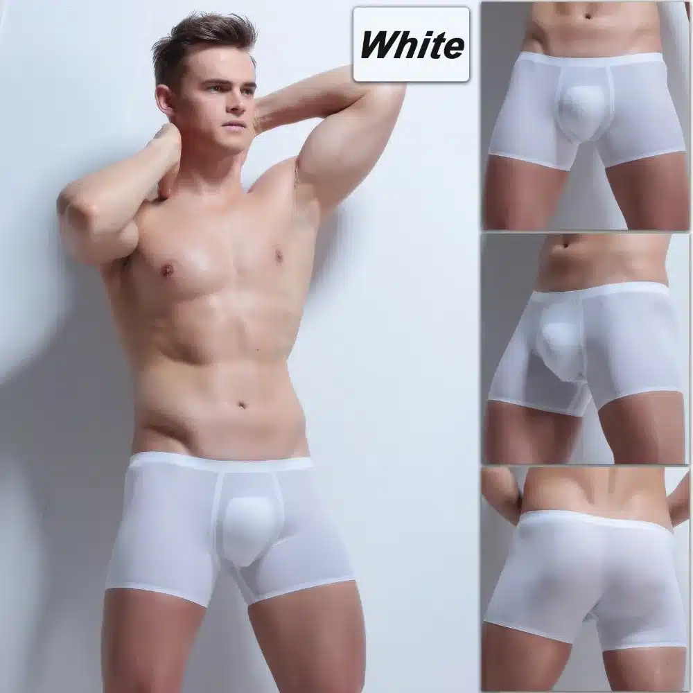 Ice Silk Boxer Sexy Men Transparent Men Underwear Low waist Slip Homme 3XL Cuecas Boxers See Through Mens Underwear Boxers Brand 24