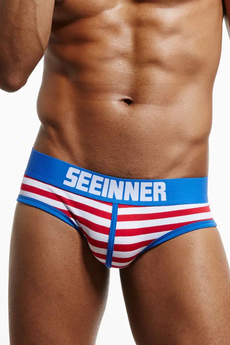 SEEINNER Brand Men Underwear briefs Cotton Striped Sexy calzoncillos hombre slips cuecas gay penis pouch panties gay Underwear 9