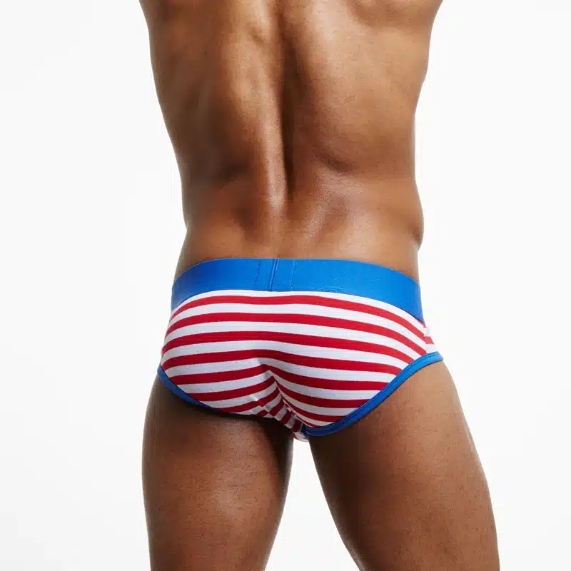 SEEINNER Brand Men Underwear briefs Cotton Striped Sexy calzoncillos hombre slips cuecas gay penis pouch panties gay Underwear 12