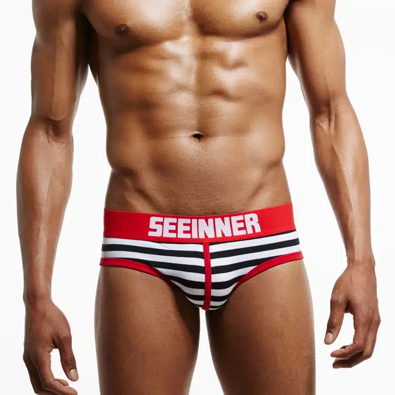 SEEINNER Brand Men Underwear briefs Cotton Striped Sexy calzoncillos hombre slips cuecas gay penis pouch panties gay Underwear 13