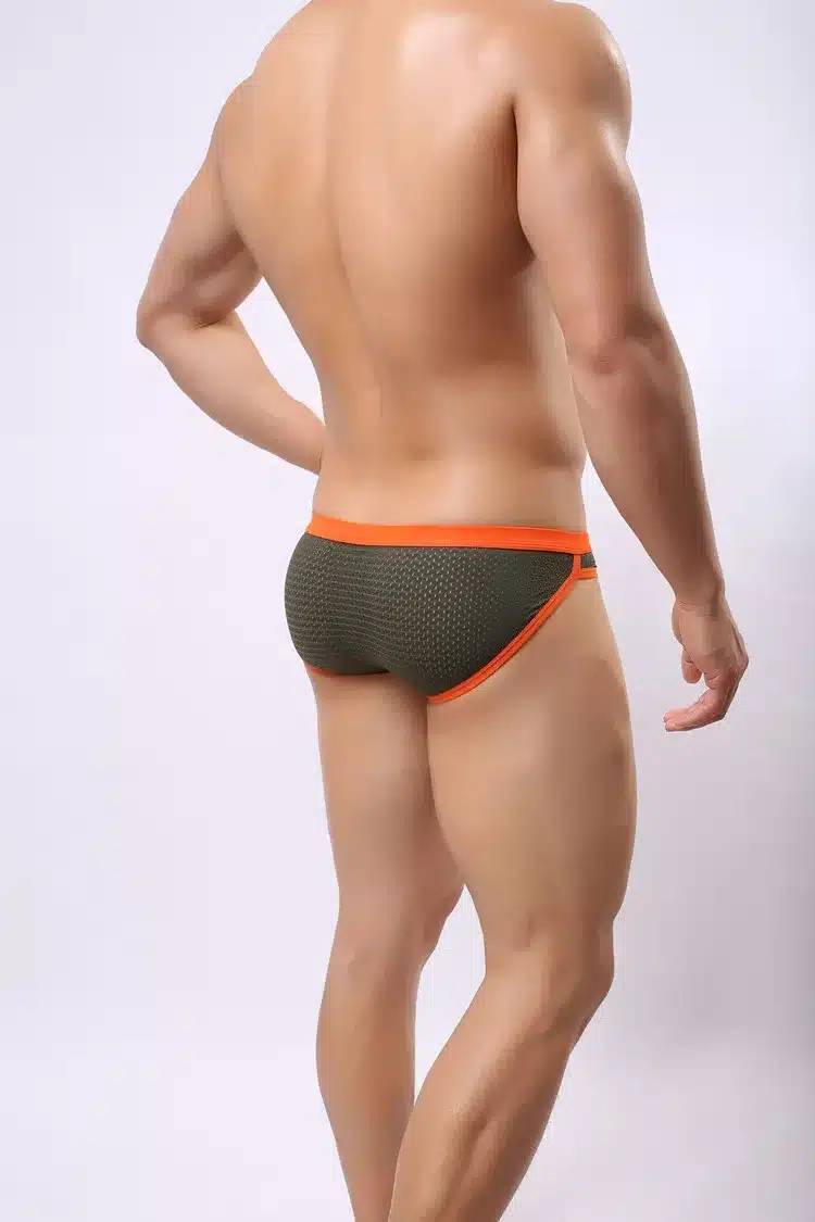 Brave Person Mens Breathable Mesh Briefs Men Low-waist Tight Sexy Underwear 6 Colors Perfect Quality Briefs for Man B1139 22