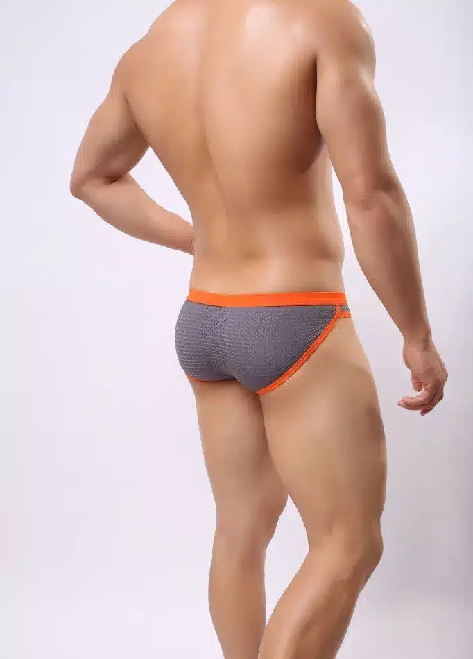Brave Person Mens Breathable Mesh Briefs Men Low-waist Tight Sexy Underwear 6 Colors Perfect Quality Briefs for Man B1139 24