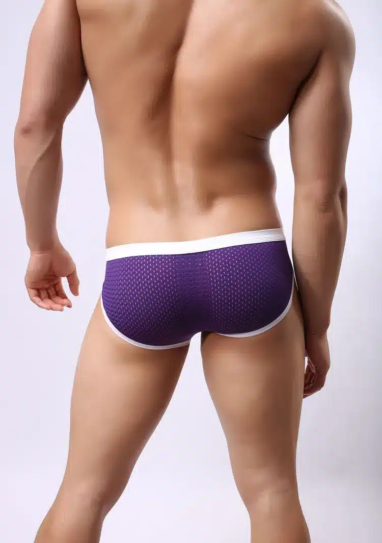 Brave Person Mens Breathable Mesh Briefs Men Low-waist Tight Sexy Underwear 6 Colors Perfect Quality Briefs for Man B1139 26