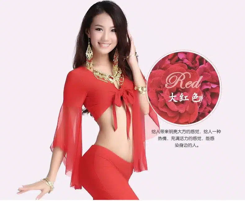 Belly dance costume sexy gauze sleeves top+gauze pants 2pcs/set for women belly dance costume exercie set 11kinds of colors 26