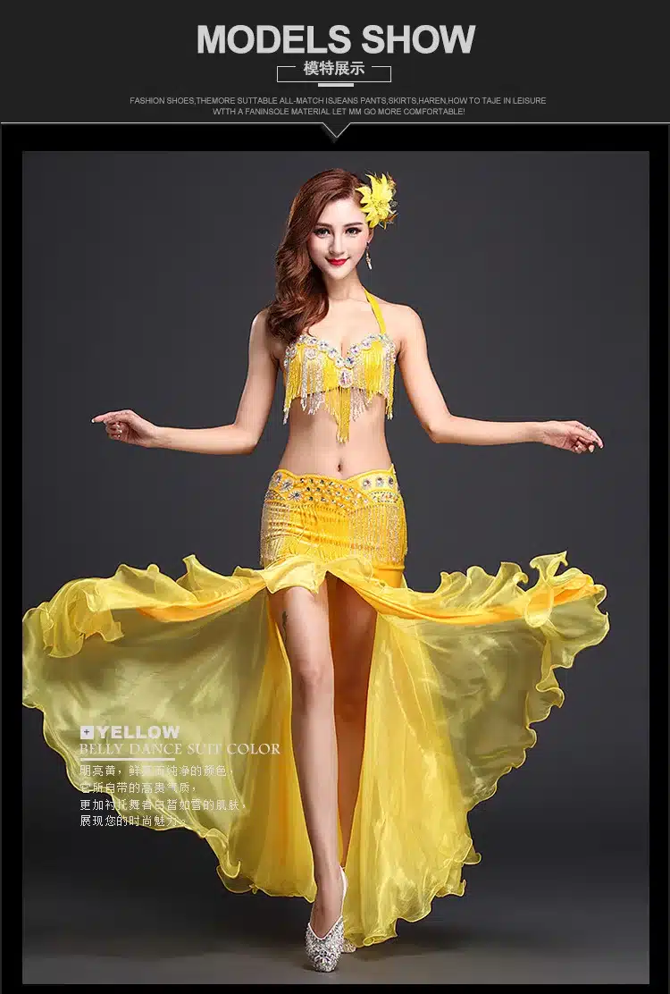 2017 New Belly dance costumes bellydancing skirts Professional Belly Dance Skirts Q6038 5