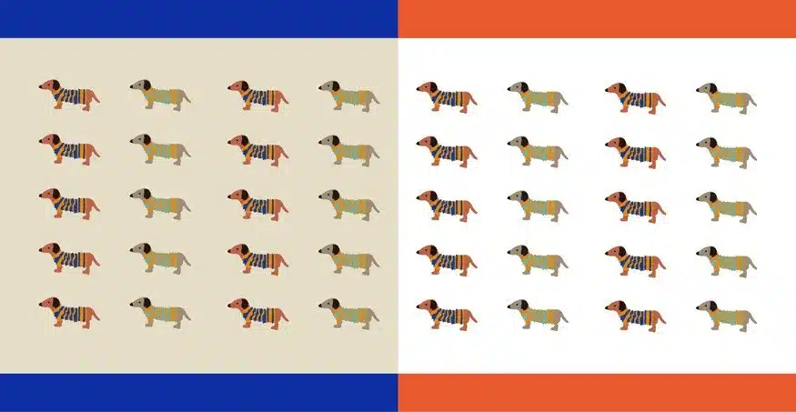Foot 22-27cm Creative animal socks Sausage dog dachshund Lovely hvalp hush pup puppy huisdier pet retail Cute wholesale zoo Come 2